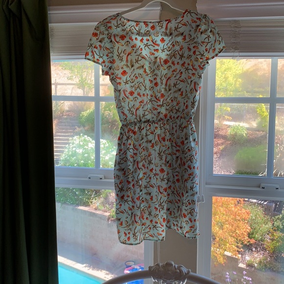 Bird Print Dress - Picture 3 of 3
